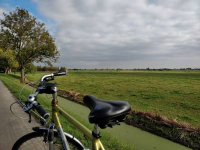 De fietstocht ledit je door de mooie polders in de buurt.